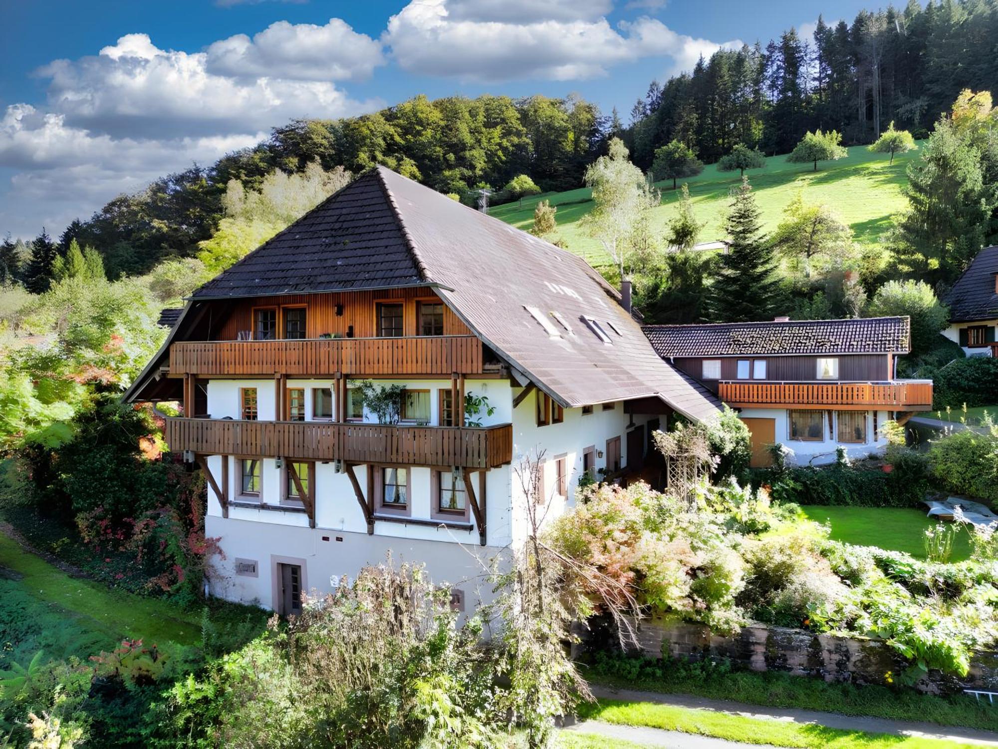 Room In Guest Room - Double Room Apple Blossom Schuttertal Exterior photo