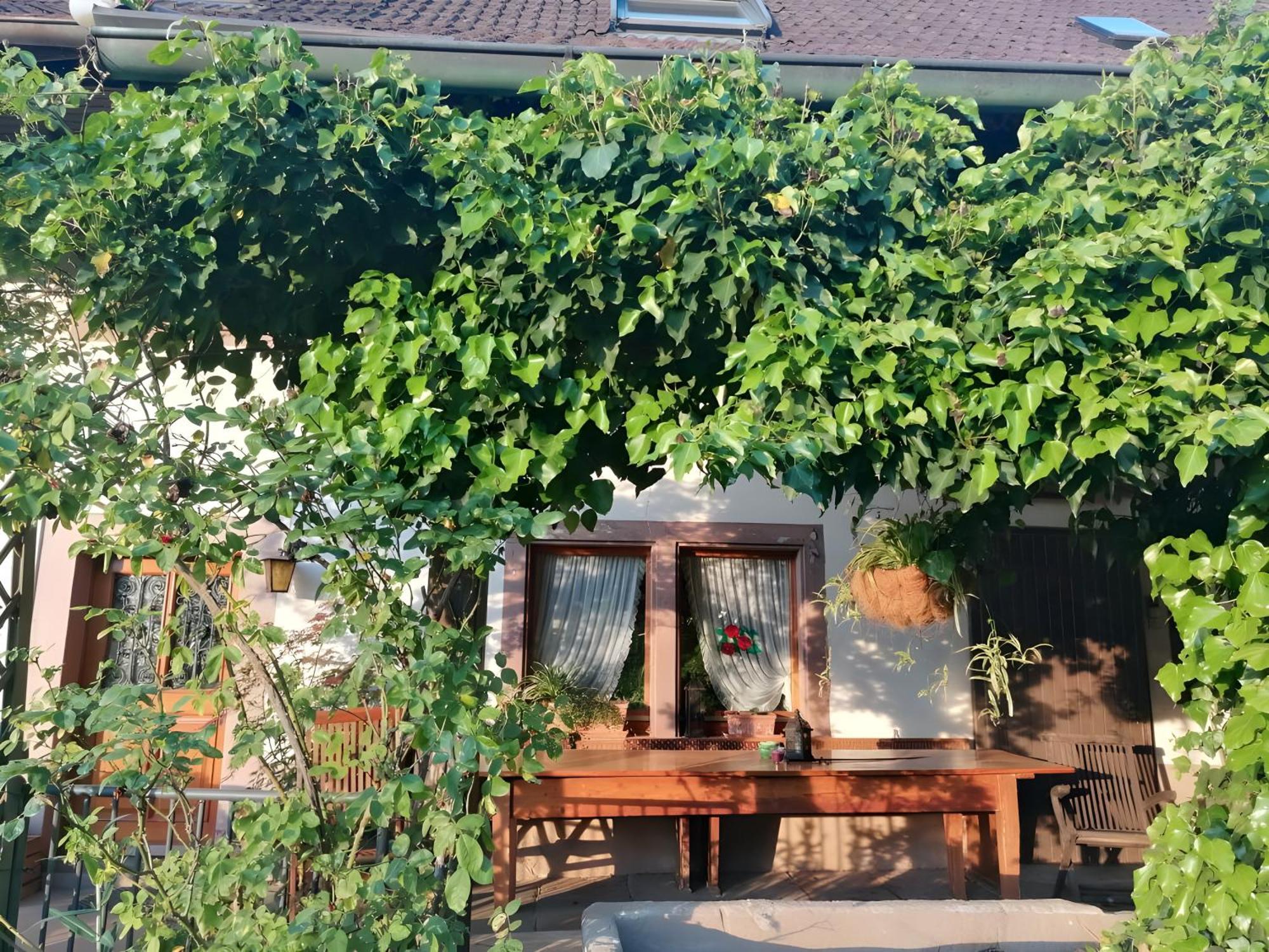 Room In Guest Room - Double Room Apple Blossom Schuttertal Exterior photo